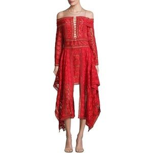 RE-POST— Thurley Lace Mini Dress in Rose color